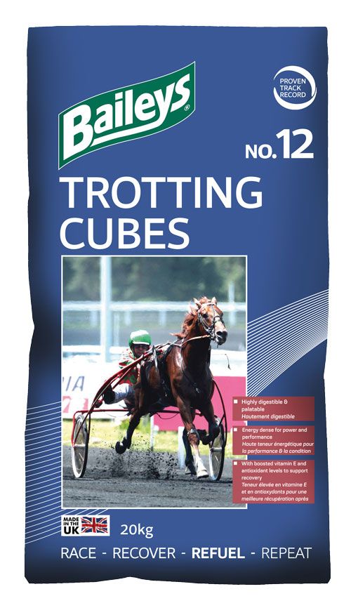 Baileys No.12 Trotting Cubes
